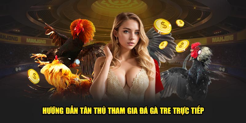 Hướng dẫn tân thủ tham gia đá gà tre trực tiếp