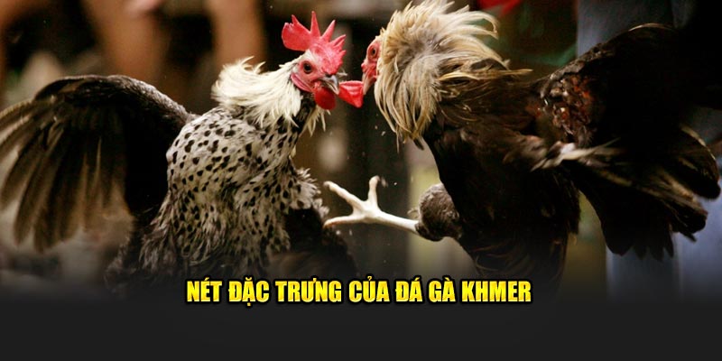 Nét đặc trưng của đá gà Khmer