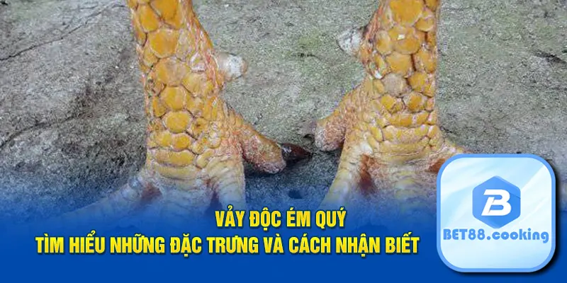 Vảy độc ém quý - Tìm hiểu những đặc trưng và cách nhận biết cùng BET88