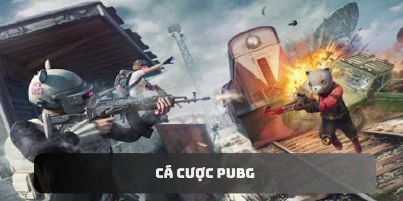 Những thông tin sơ lược nhất về hình thức cá cược PUBG